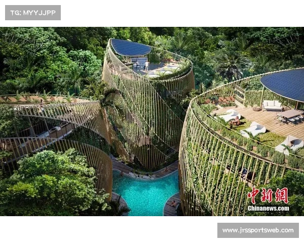 德甲联盟推动绿色能源，球场光伏项目落地